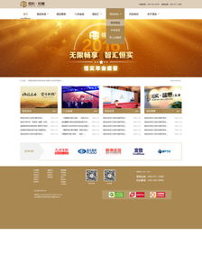 金韵流光 高端数码消费品平台的极简设计